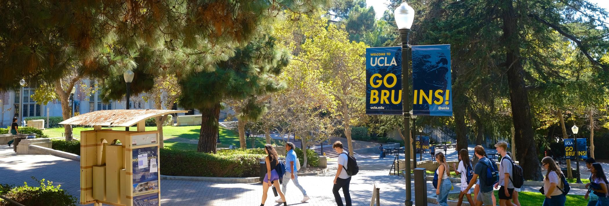 Students walking on a walkway lined by evergreen trees. A newsstand kiosk. 